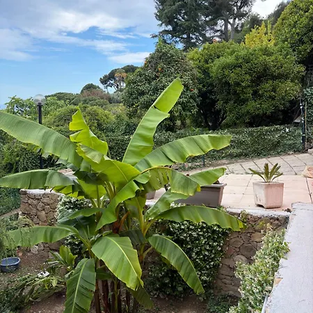 Il Giardino Del Mare *