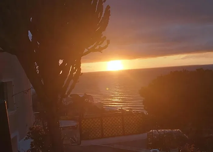 Il Giardino Del Mare *